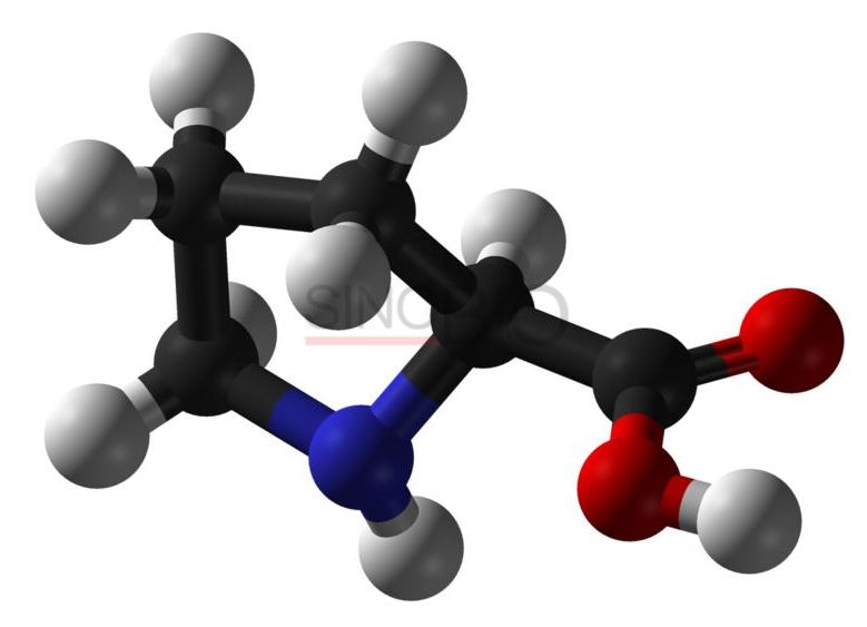 L-Proline Molecular Structure L-Proline amino acid molecular structure CAS 147-85-3