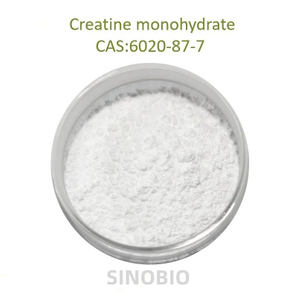 80/200 Mesh Factory Price Pure Raw Powder 99.5% Creatine Monohydrate CAS 6020-87-7