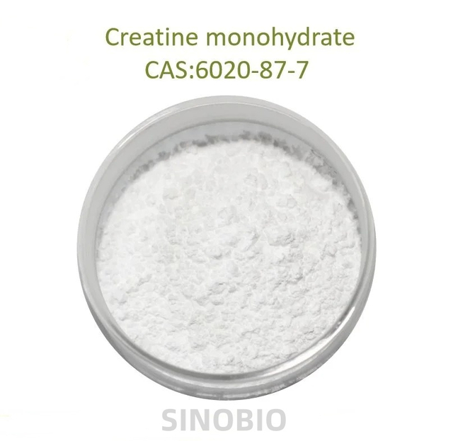 80/200 Mesh Factory Price Pure Raw Powder 99.5% Creatine Monohydrate CAS 6020-87-7