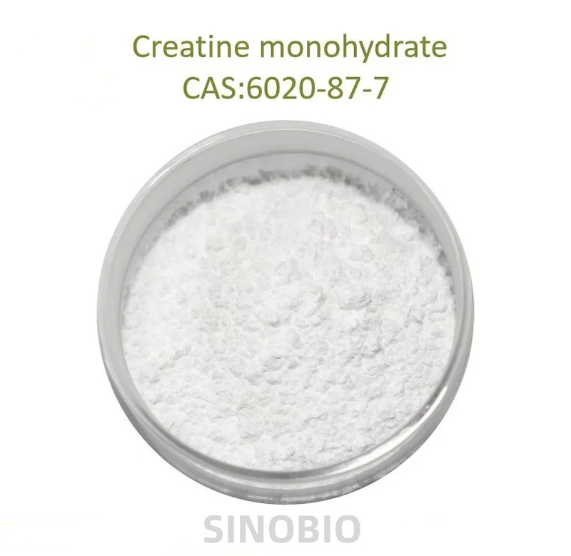 80/200 Mesh Factory Price Pure Raw Powder 99.5% Creatine Monohydrate CAS 6020-87-7