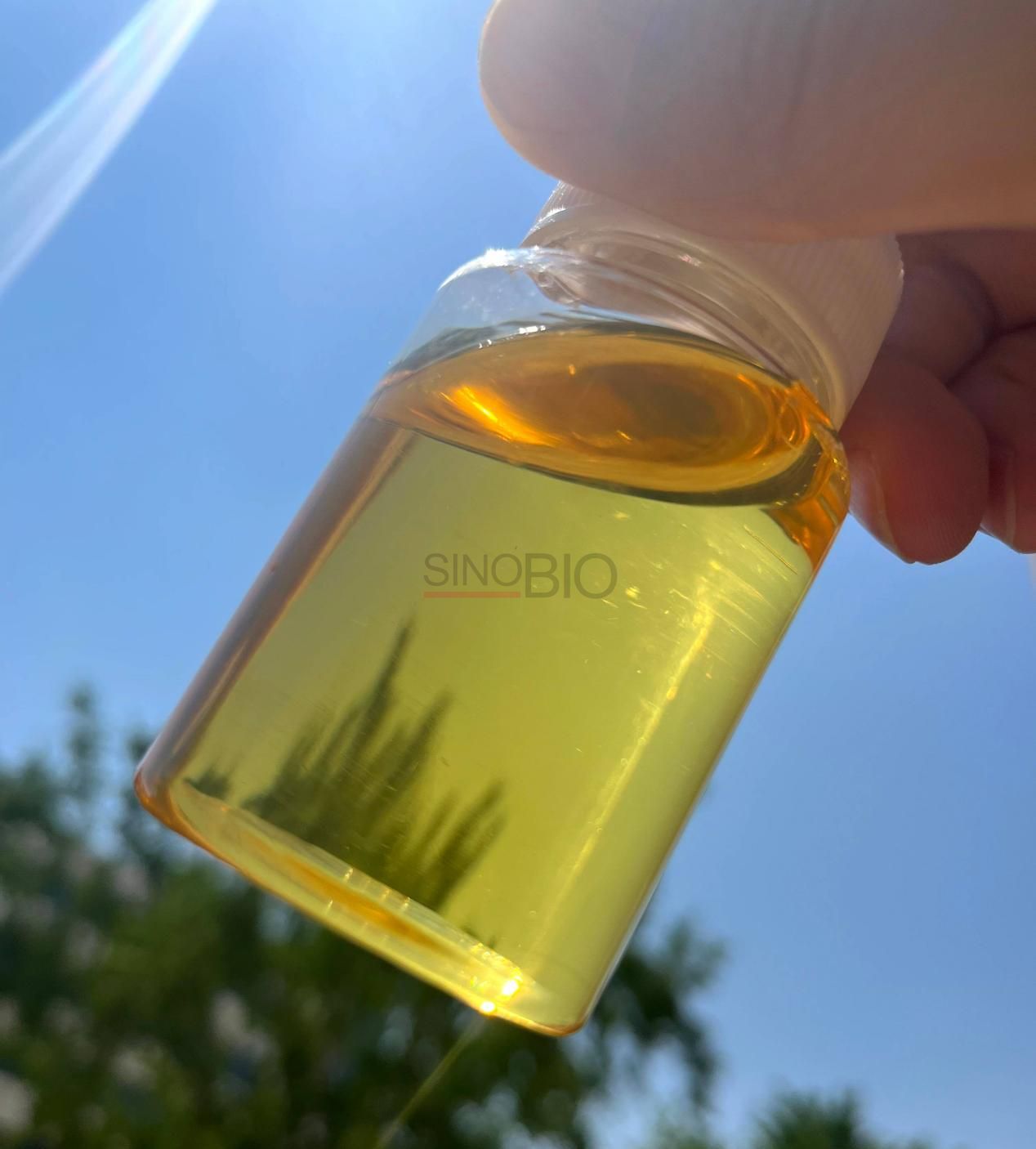 PIBSA (Polyisobutenyl Succinic Anhydride) (2)