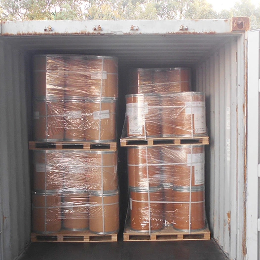 High Quality CAS 88-04-0 4-Chloro-3 5-Dimethylph-Enol/ PCMX Chloroxylenol