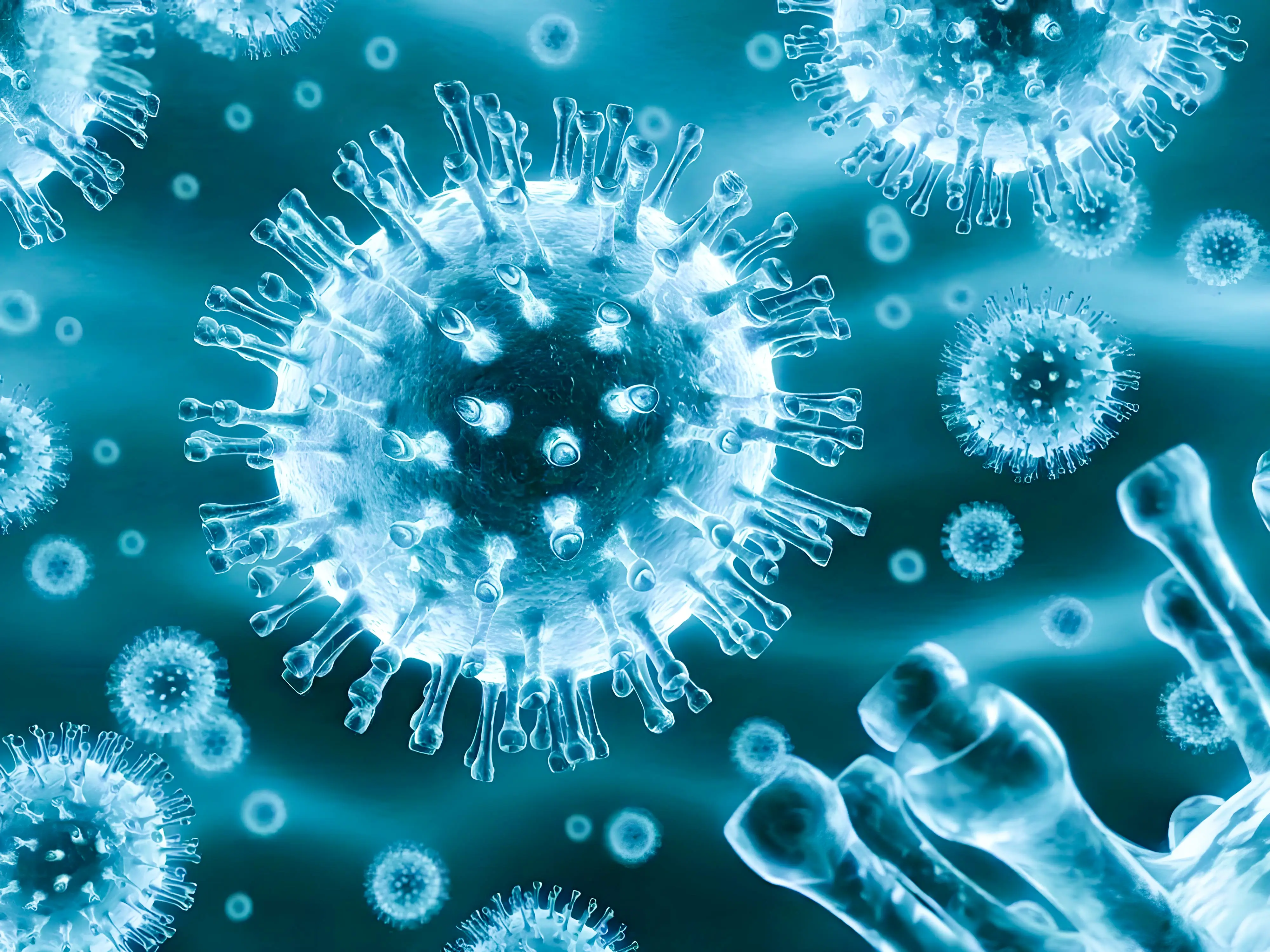 viruses