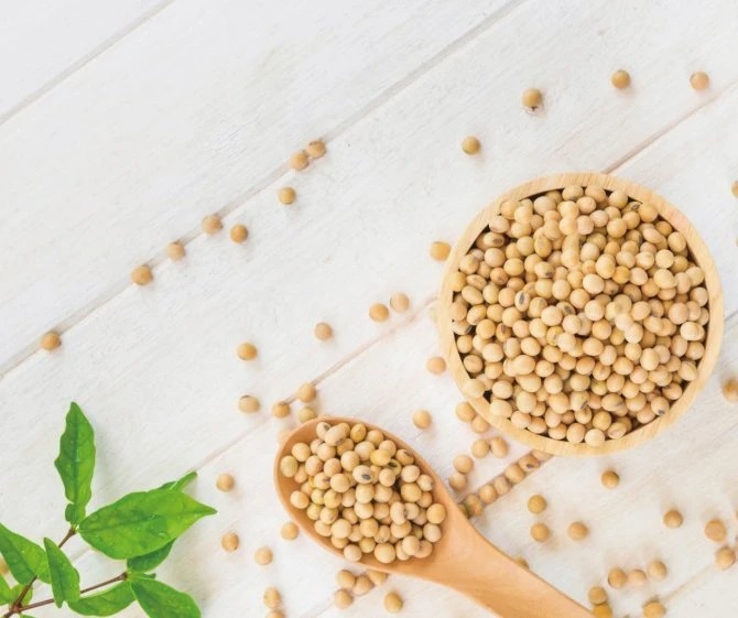 Small-Molecule-Soybean-Protein-Peptide-99-Powder-with-Halal-Kosher-Certified