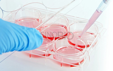 Cell Culture Medium Raw Materials.png