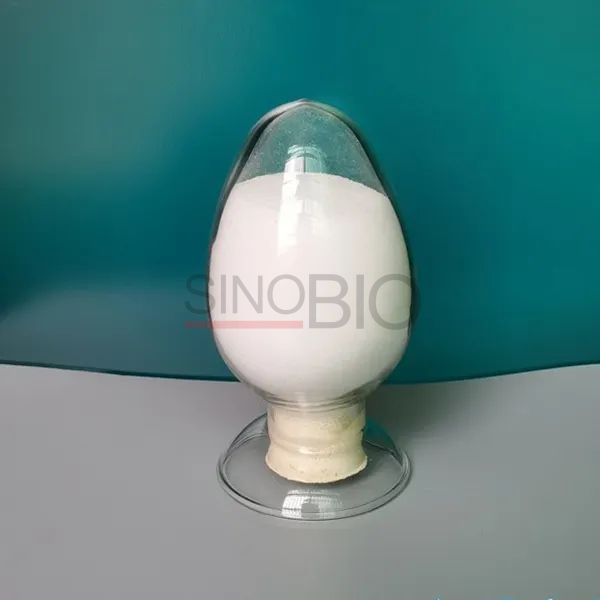 Professional Manufacturer Supply Methylparaben CAS 99-76-3 Methyl Paraben for Sale Cosmetics Face Skin
