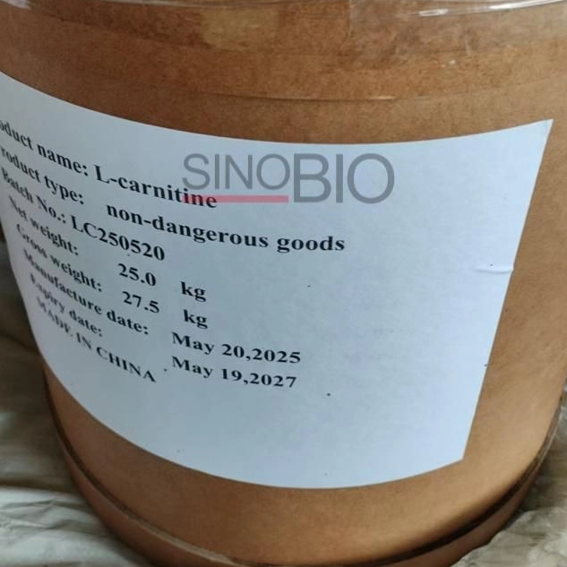 Food Grade L-Carnitine Powder From China for Energy Drinks and Snacks
