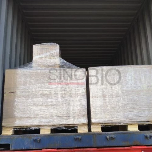 Food Grade Vanillin Powder CAS 121-33-5 Food Flavoring Agent