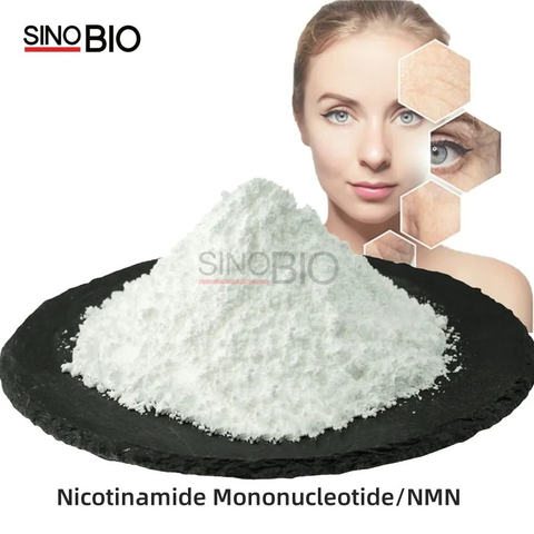 Wholesale Bulk Anti-Aging Supplements Powder β -Nicotinamide Mononucleotide 99.9% NMN CAS 1094-61-7