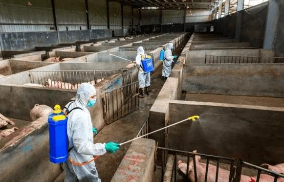 Benzalkonium chloride for environmental disinfection