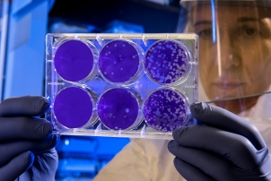 against bacteria