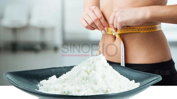 L-Carnitine: A Comprehensive Analysis of the "Transport Captain" for Fat Burning