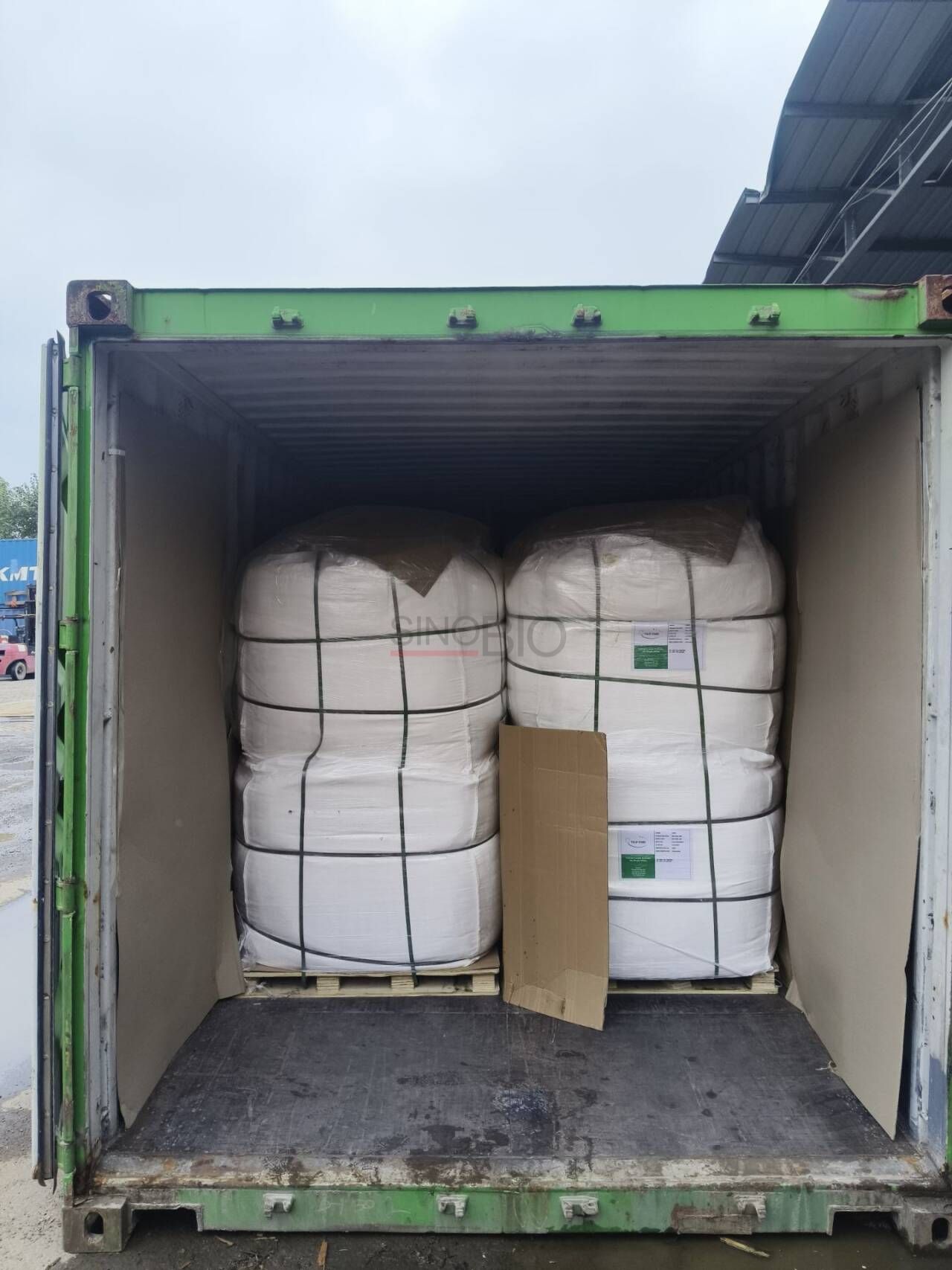 Calcium Lactate Package (2)