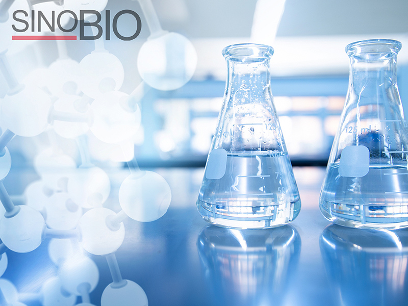 Dalian Sinobio Chemistry Co.,Ltd