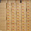 Curing Agent Flame Retardant Additive Organic Peroxide Dicumyl Peroxide DCP 99% CAS 80-43-3