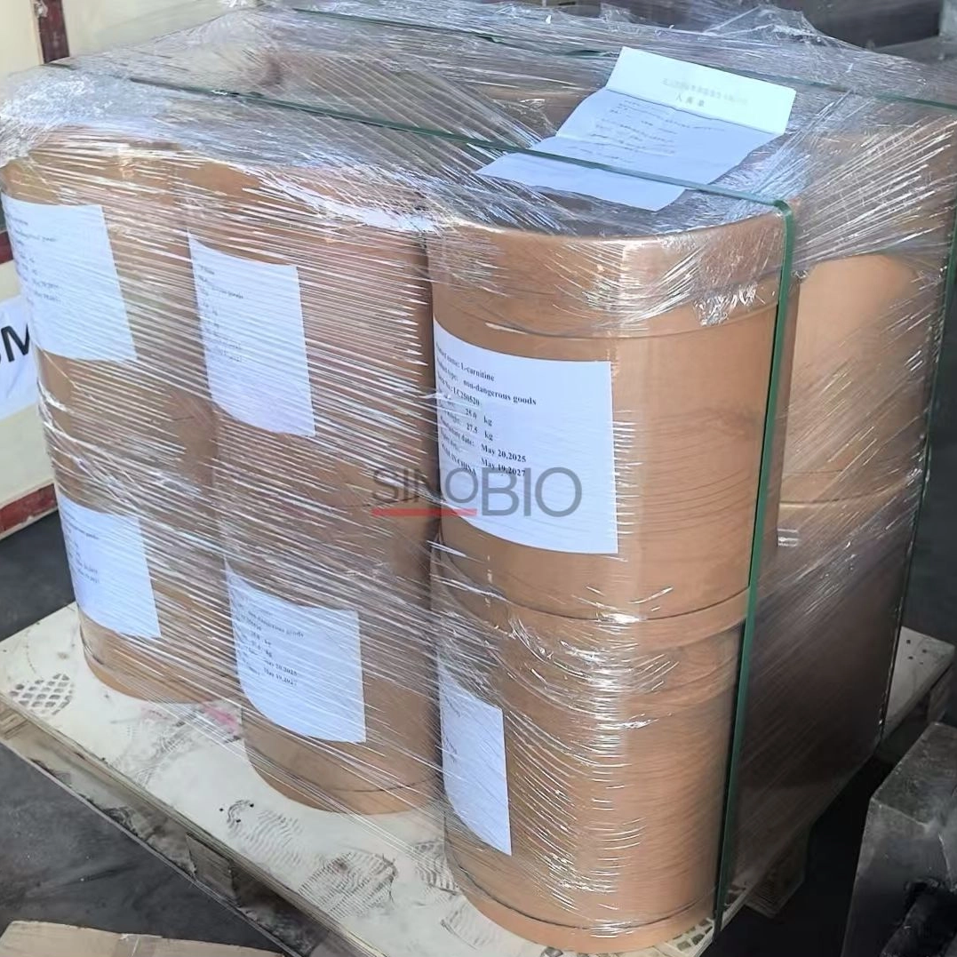 Food Grade L-Carnitine Powder From China for Energy Drinks and Snacks