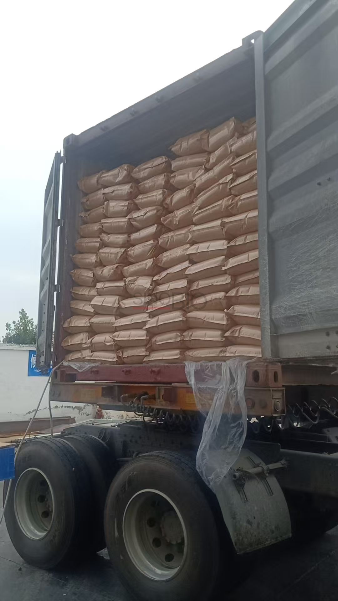 Calcium Lactate Package (1)