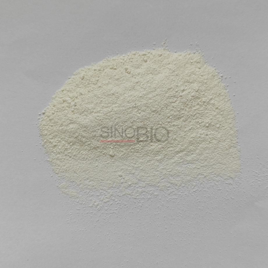 Zinc L-Carnosine Polaprezinc Powder CAS 107667-60-7.png